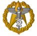 Command Badge of Starfleet Surgeon General: CONFERMED AS SURGEON GENERAL OF STARFLEET ON STARDATE 241909.09, ADMIRAL SABINE SCHOLTZ ARCHER
